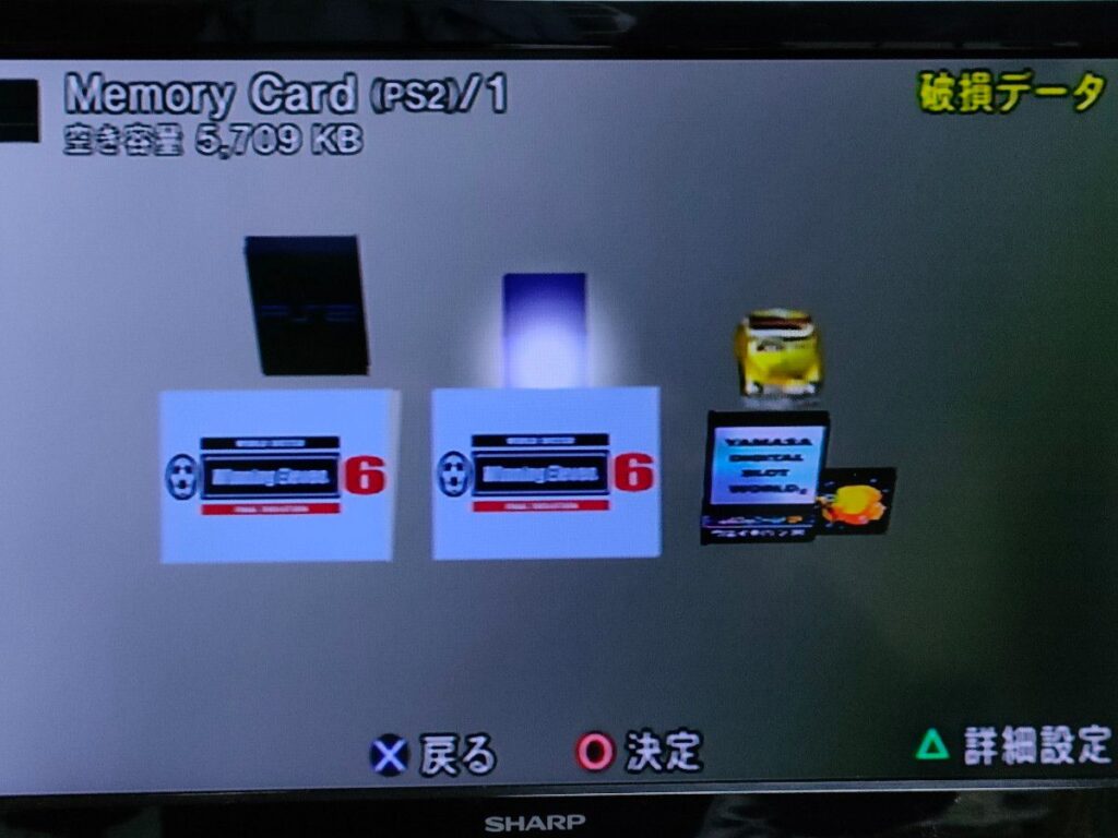 メモリーカードとその中身